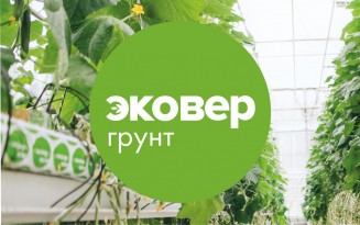 �������������� �������� - ���������� ������ - ����������� ����